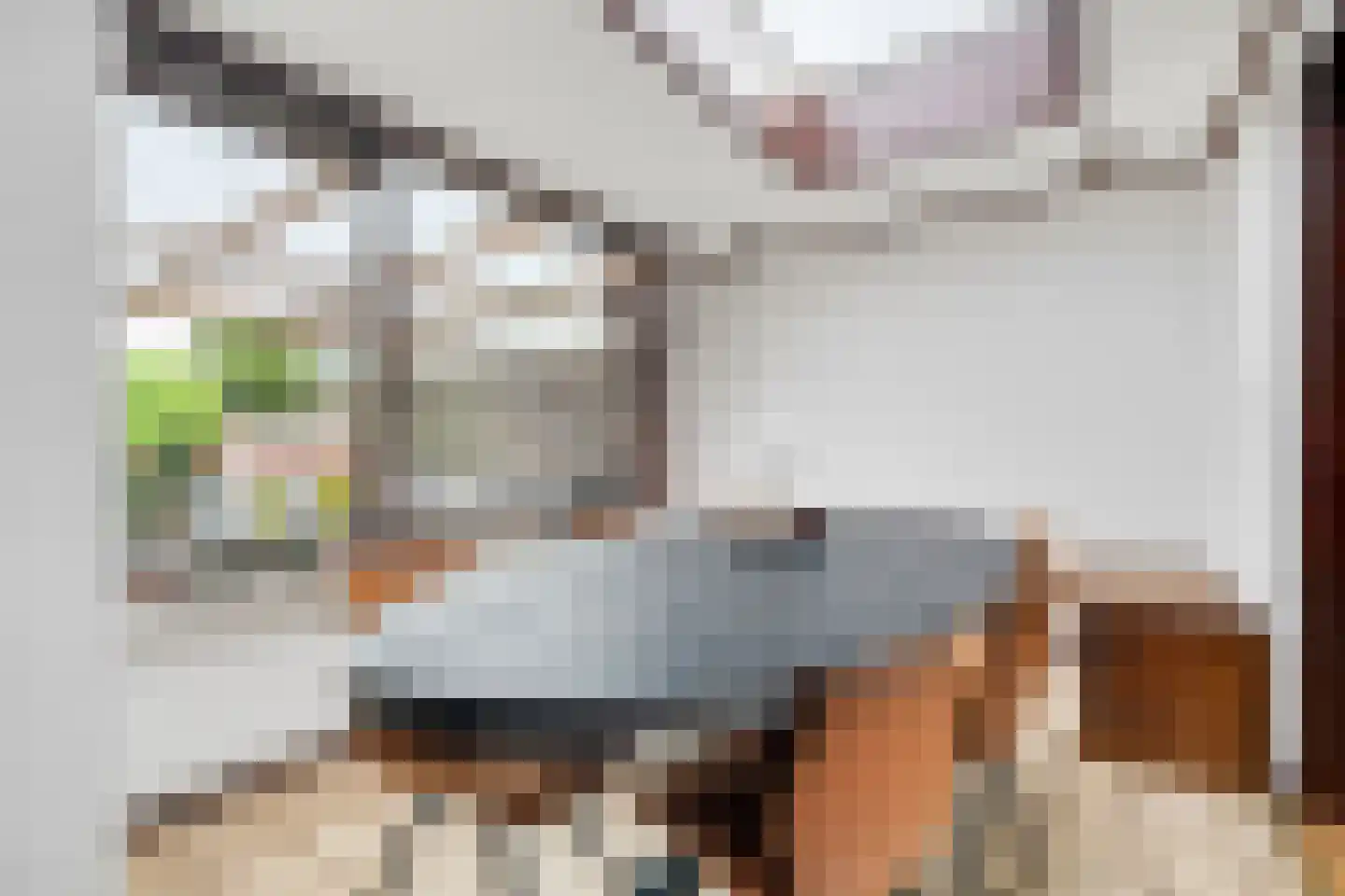 Julianastraat 55 Overdinkel thumbnail 18