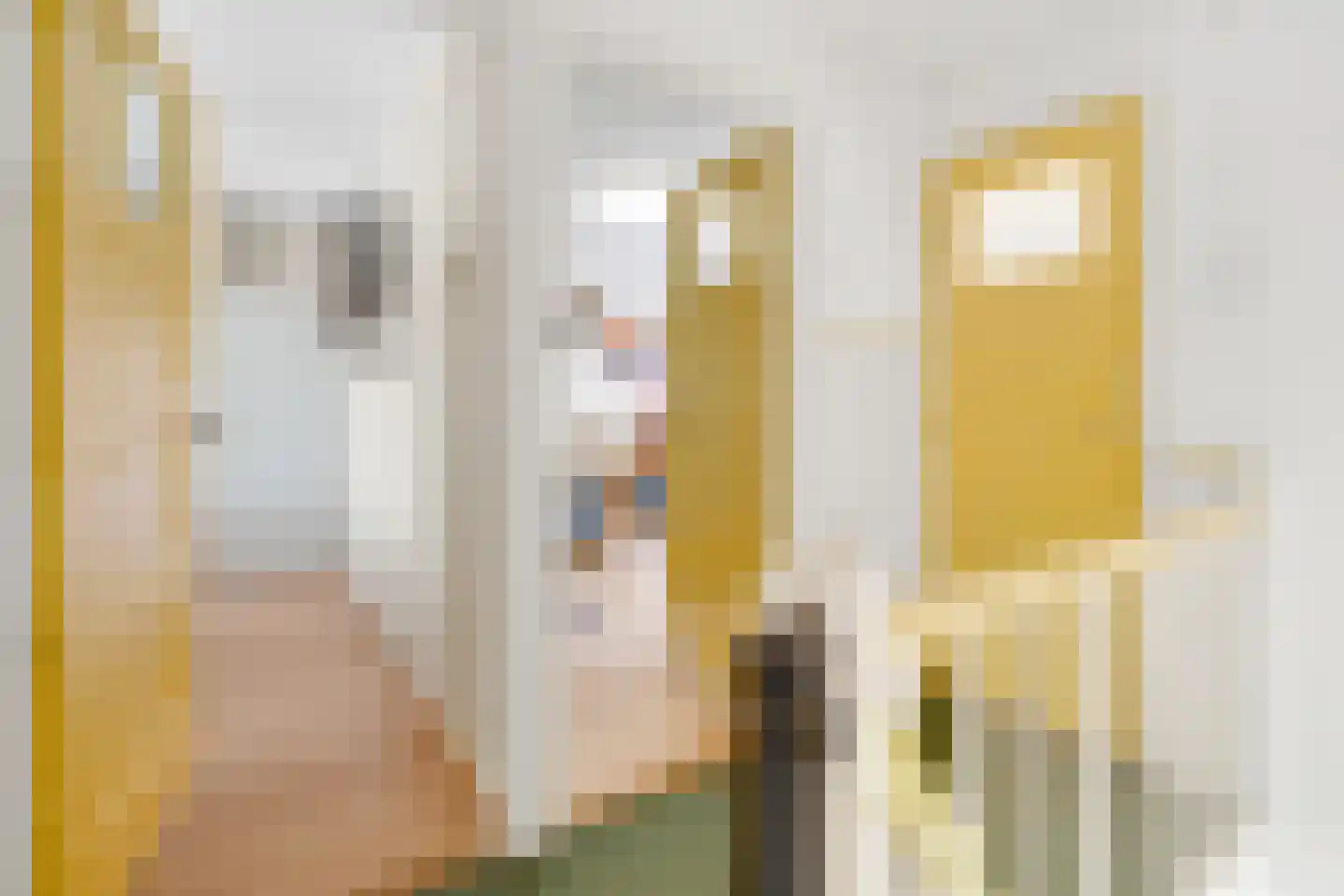 Julianastraat 55 Overdinkel thumbnail 24