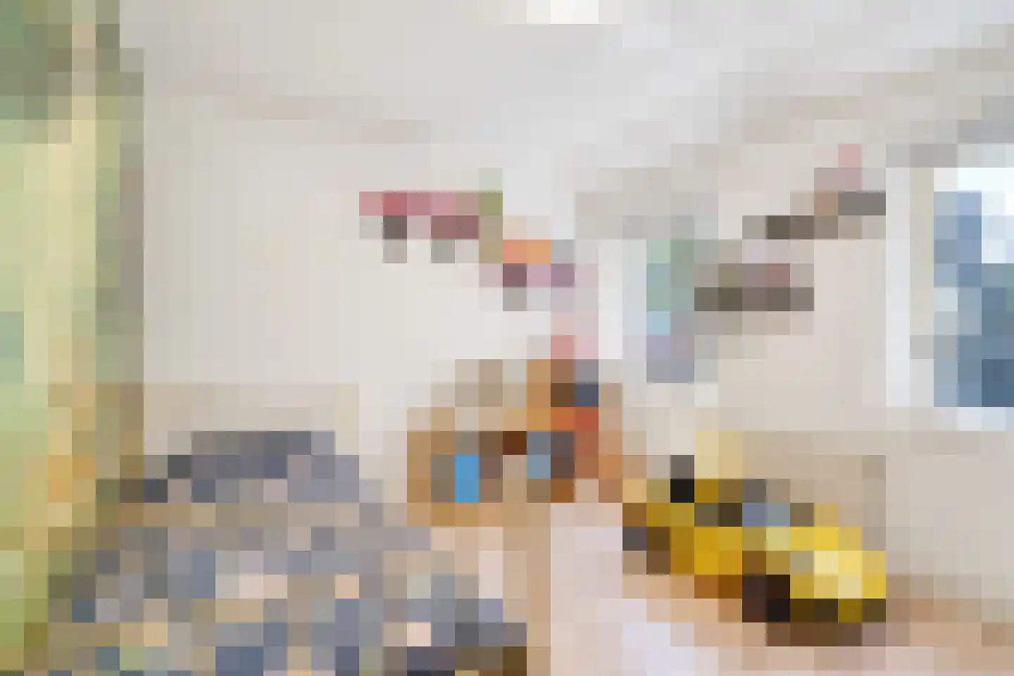 Julianastraat 55 Overdinkel thumbnail 27