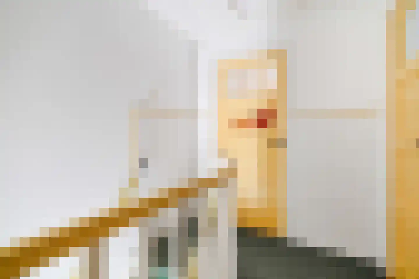 Julianastraat 55 Overdinkel thumbnail 29