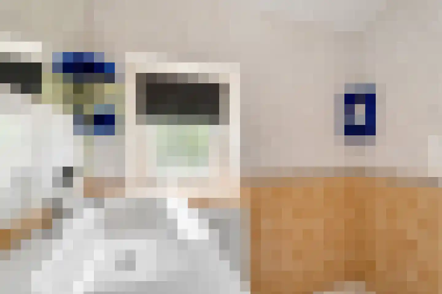 Julianastraat 55 Overdinkel thumbnail 31