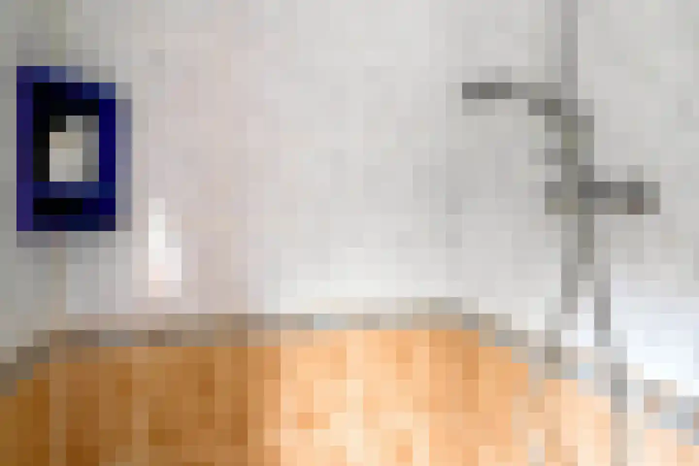 Julianastraat 55 Overdinkel thumbnail 33