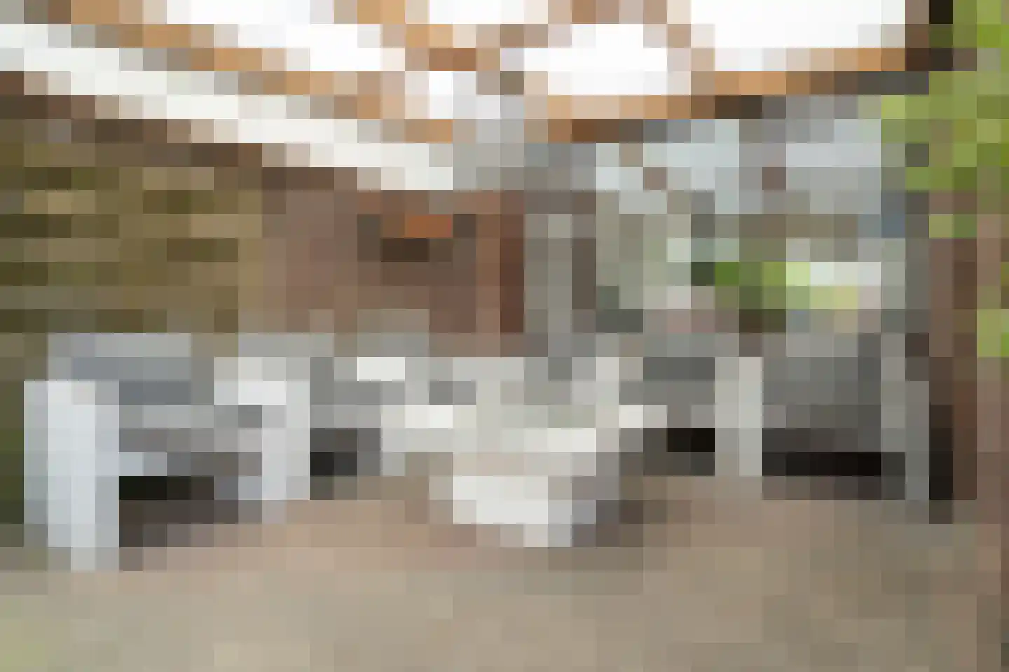 Julianastraat 55 Overdinkel thumbnail 34