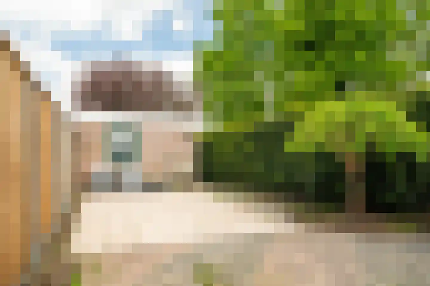 Julianastraat 55 Overdinkel thumbnail 35