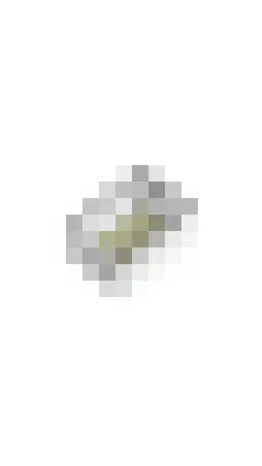 Julianastraat 55 Overdinkel thumbnail 44