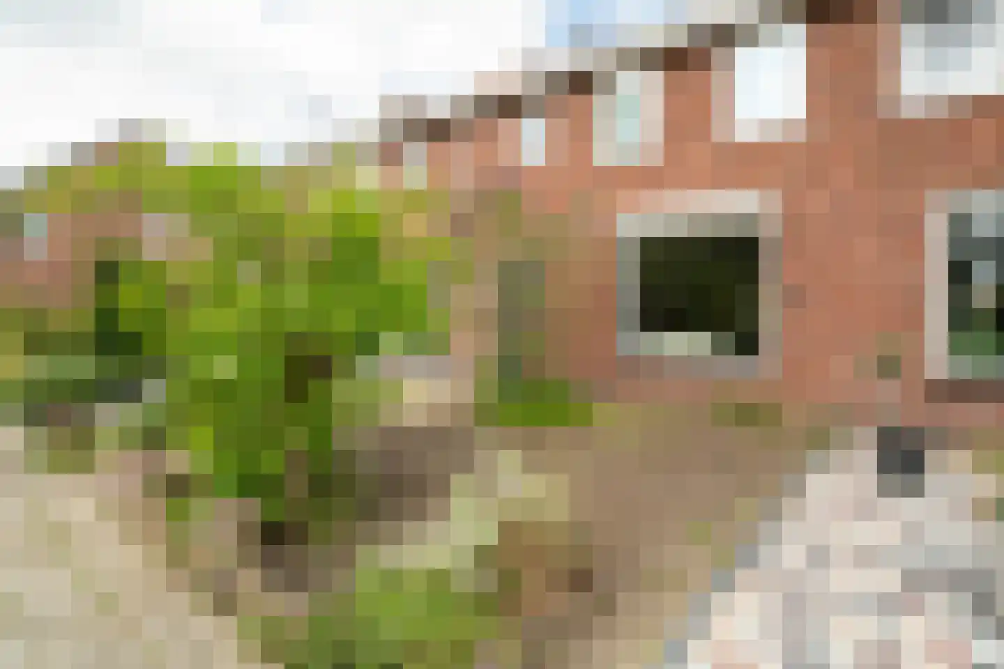 Julianastraat 55 Overdinkel thumbnail 6