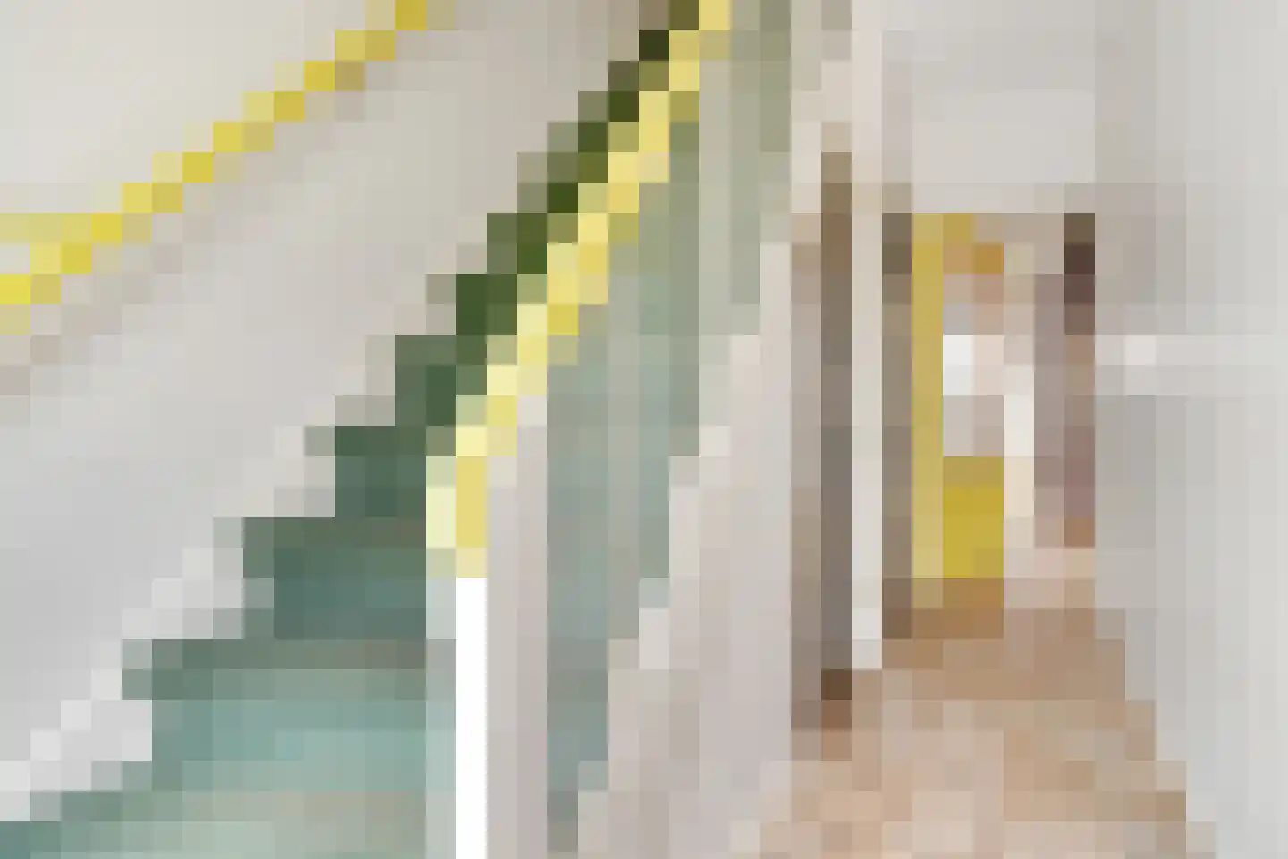 Julianastraat 55 Overdinkel thumbnail 8