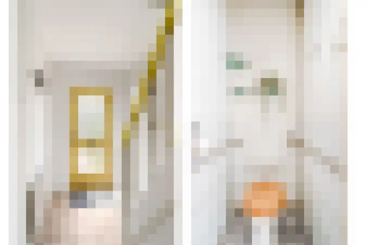 Julianastraat 55 Overdinkel thumbnail 9