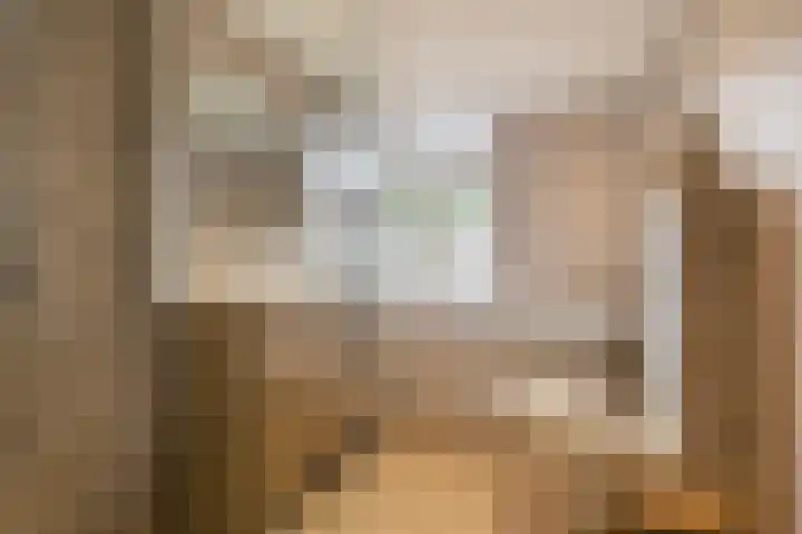 Julianastraat 55 Veenendaal thumbnail 19