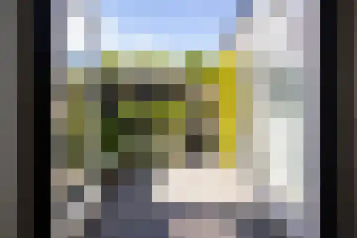 Julianastraat 55 Veenendaal thumbnail 31
