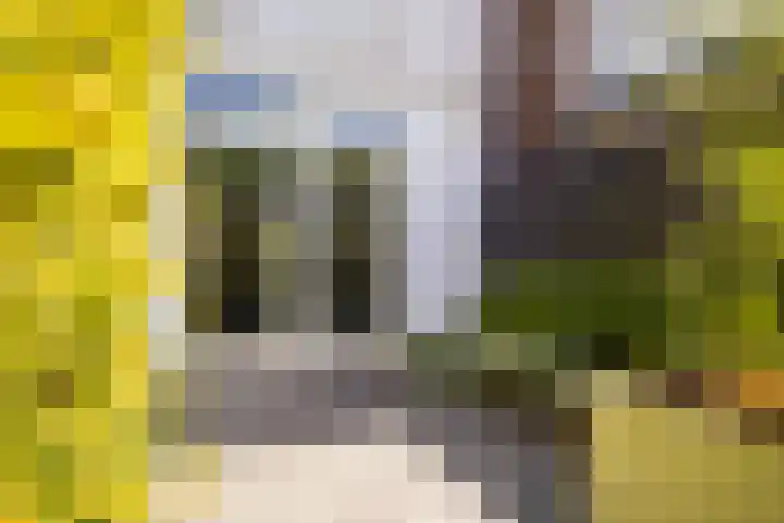 Julianastraat 55 Veenendaal thumbnail 32