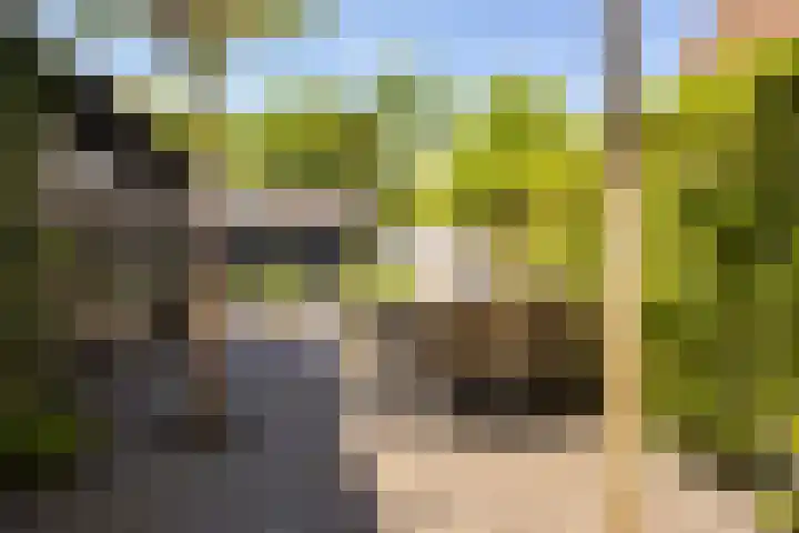 Julianastraat 55 Veenendaal thumbnail 33