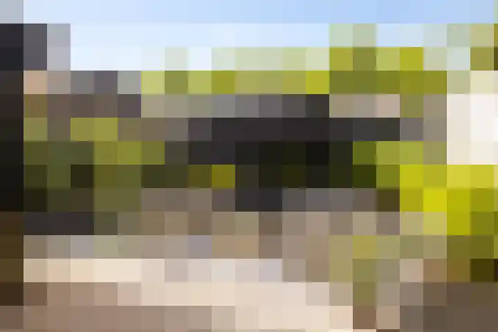 Julianastraat 55 Veenendaal thumbnail 34