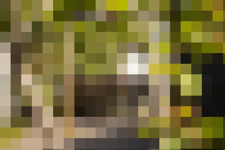 Julianastraat 55 Veenendaal thumbnail 35