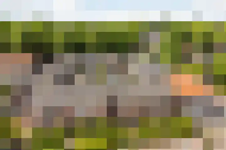 Julianastraat 55 Veenendaal thumbnail 39