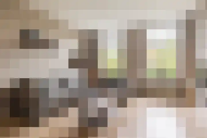 Julianastraat 55 Veenendaal thumbnail 4