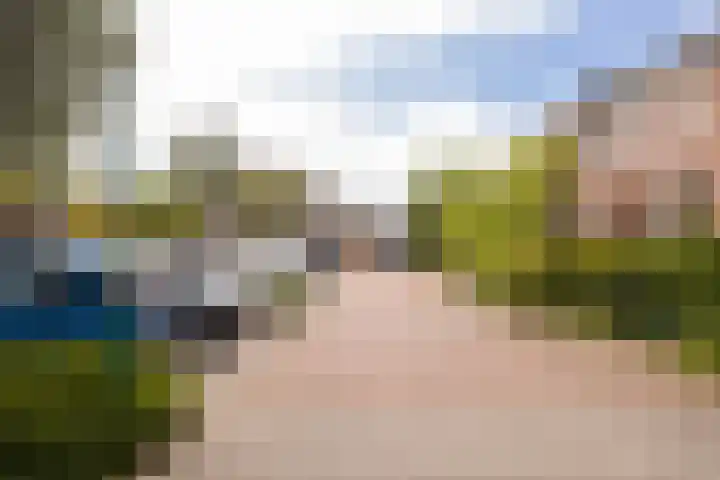 Julianastraat 55 Veenendaal thumbnail 41