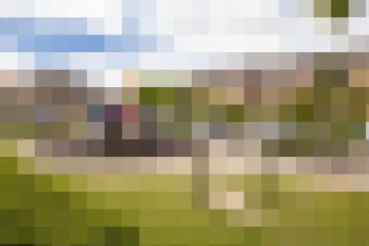 Julianastraat 55 Veenendaal thumbnail 42