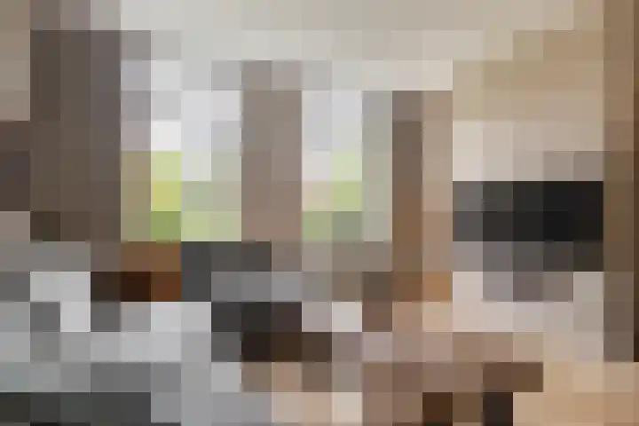Julianastraat 55 Veenendaal thumbnail 5