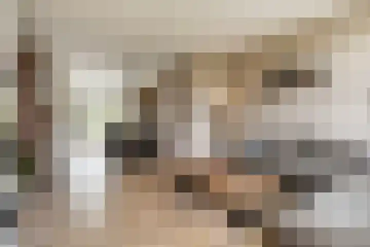 Julianastraat 55 Veenendaal thumbnail 6