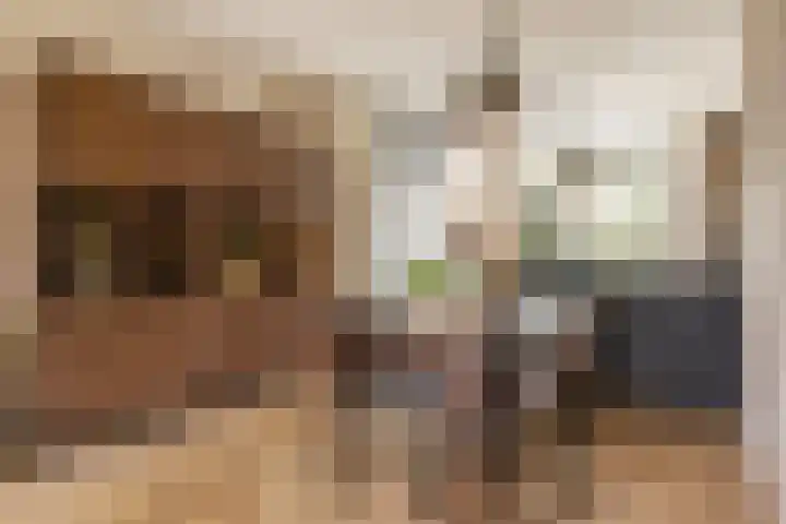 Julianastraat 55 Veenendaal thumbnail 7
