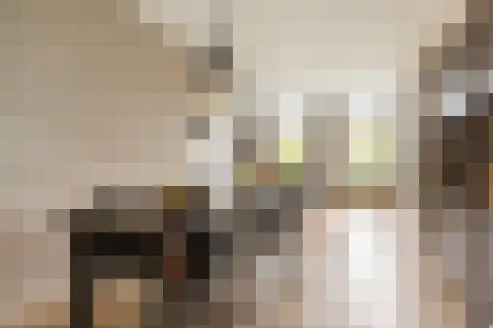 Julianastraat 55 Veenendaal thumbnail 8