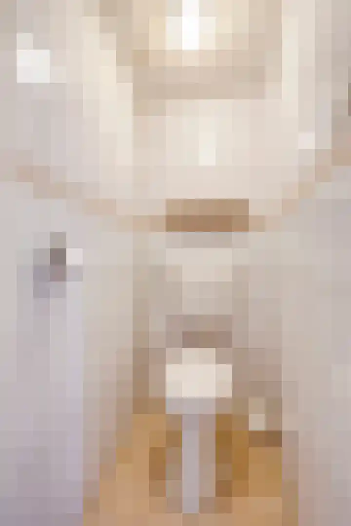 Julianastraat 55 Zuidland thumbnail 10