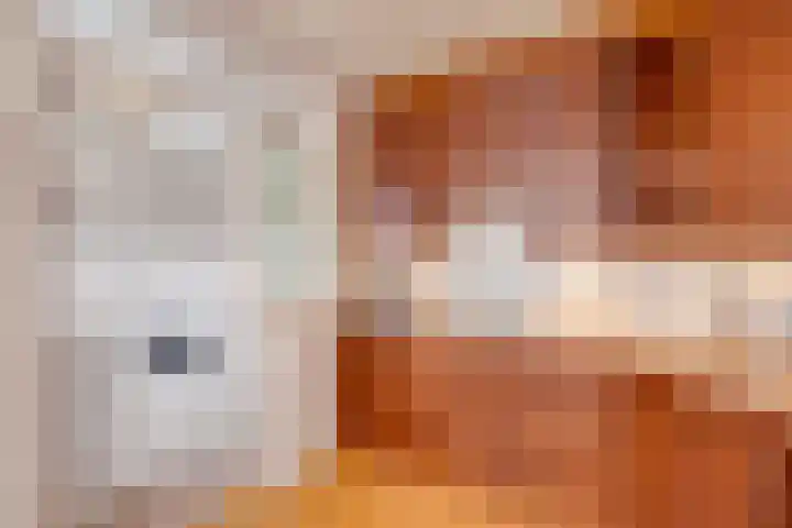 Julianastraat 55 Zuidland thumbnail 16