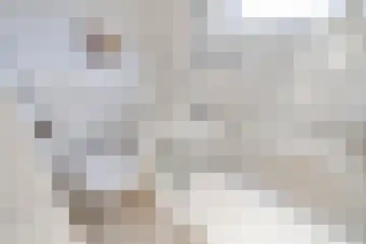 Julianastraat 55 Zuidland thumbnail 21