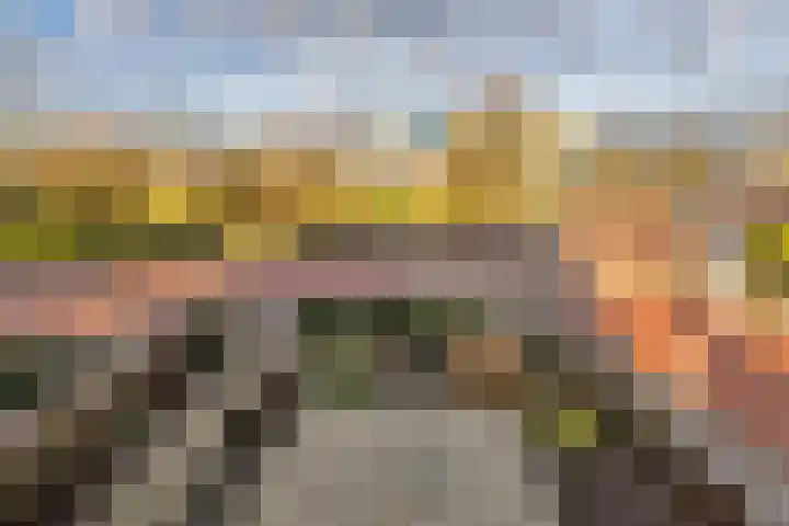 Julianastraat 55 Zuidland thumbnail 34