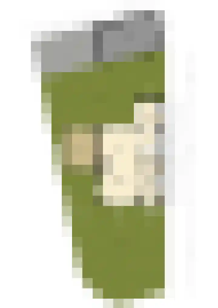 Julianastraat 55 Zuidland thumbnail 38