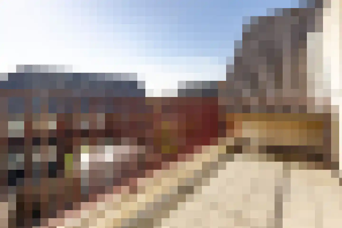 Julianastraat 56 b Sliedrecht thumbnail 12