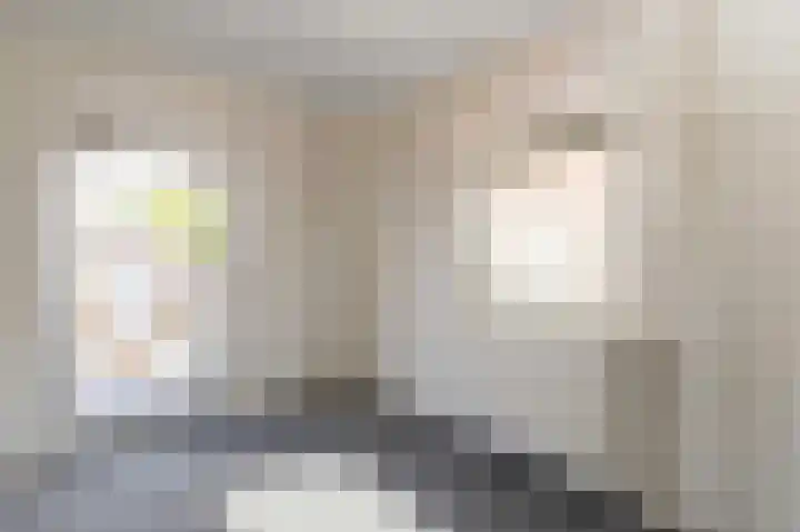 Julianastraat 56 Boekel thumbnail 16