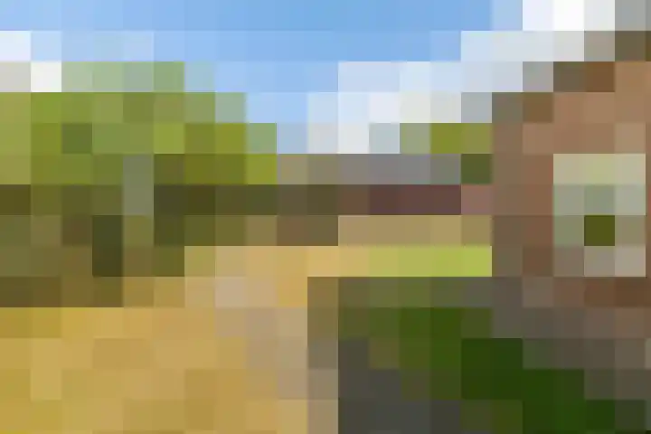 Julianastraat 56 Boekel thumbnail 19