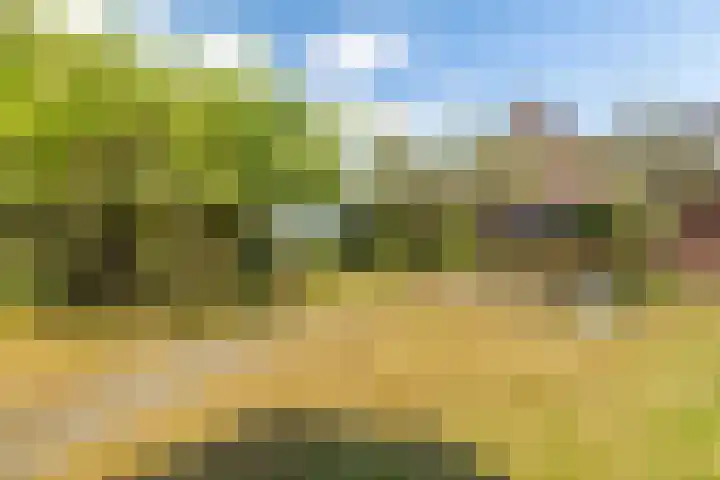 Julianastraat 56 Boekel thumbnail 21