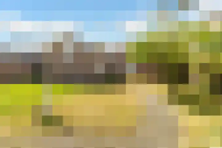 Julianastraat 56 Boekel thumbnail 22