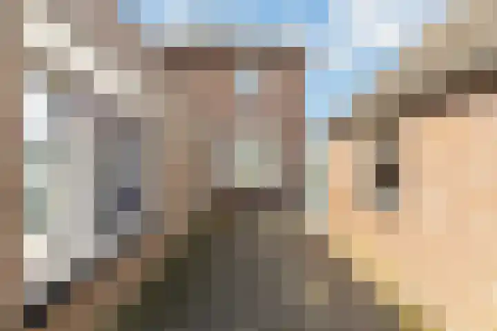 Julianastraat 56 Boekel thumbnail 23