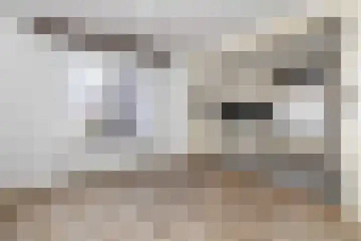 Julianastraat 56 Boekel thumbnail 4