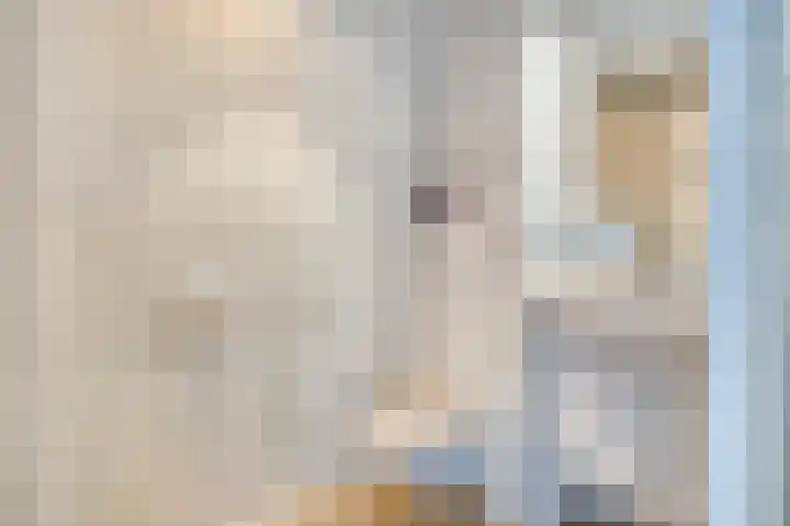 Julianastraat 56 f Rijswijk thumbnail 19