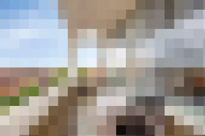 Julianastraat 56 f Rijswijk thumbnail 23