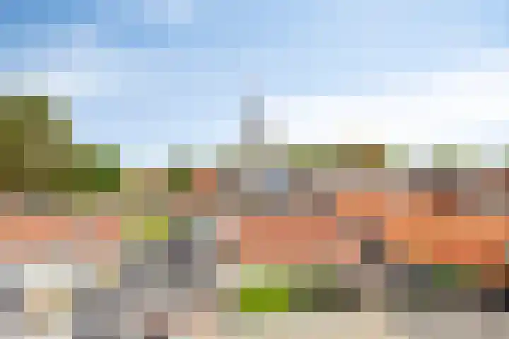 Julianastraat 56 f Rijswijk thumbnail 27