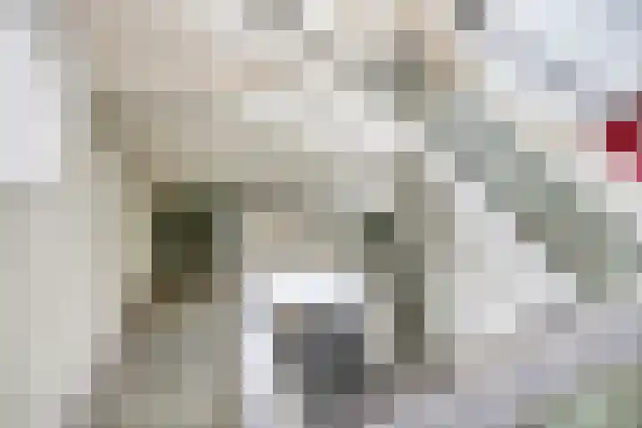 Julianastraat 56 f Rijswijk thumbnail 8