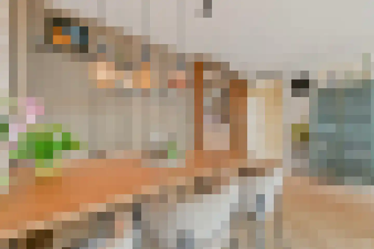 Julianastraat 56 h Rijswijk thumbnail 10