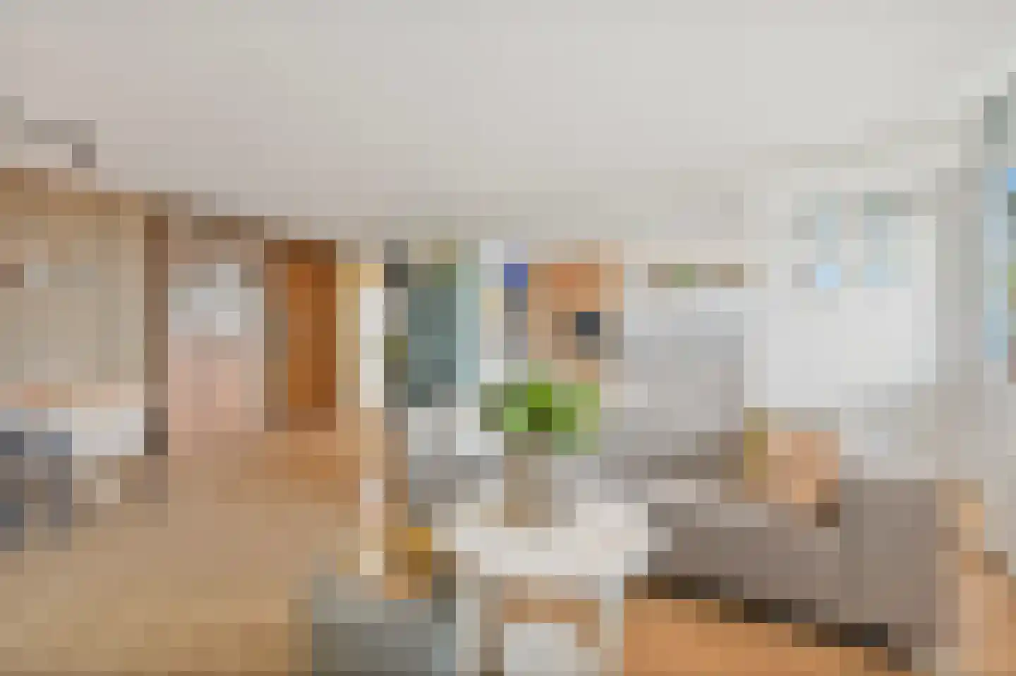 Julianastraat 56 h Rijswijk thumbnail 11