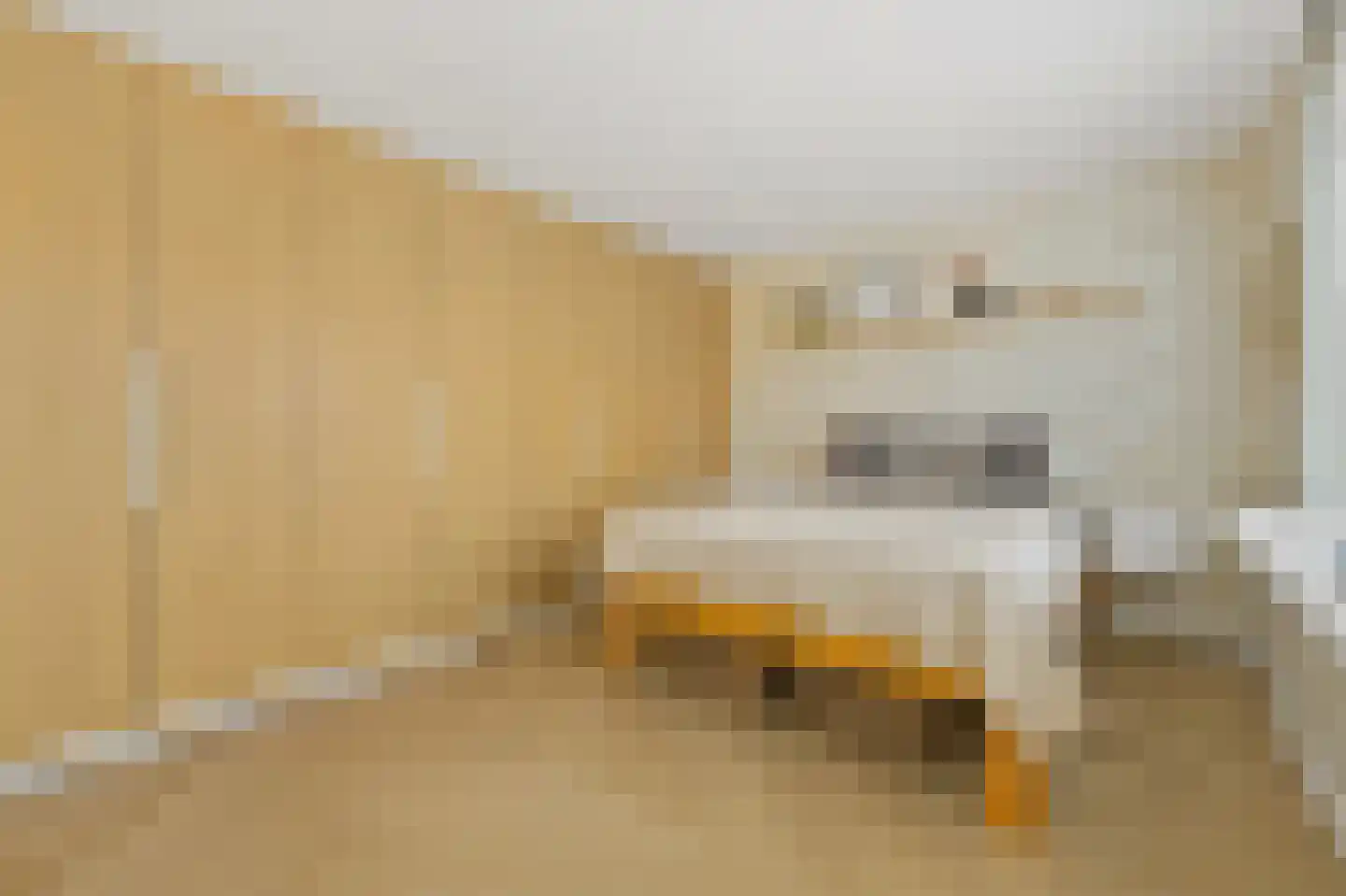 Julianastraat 56 h Rijswijk thumbnail 28