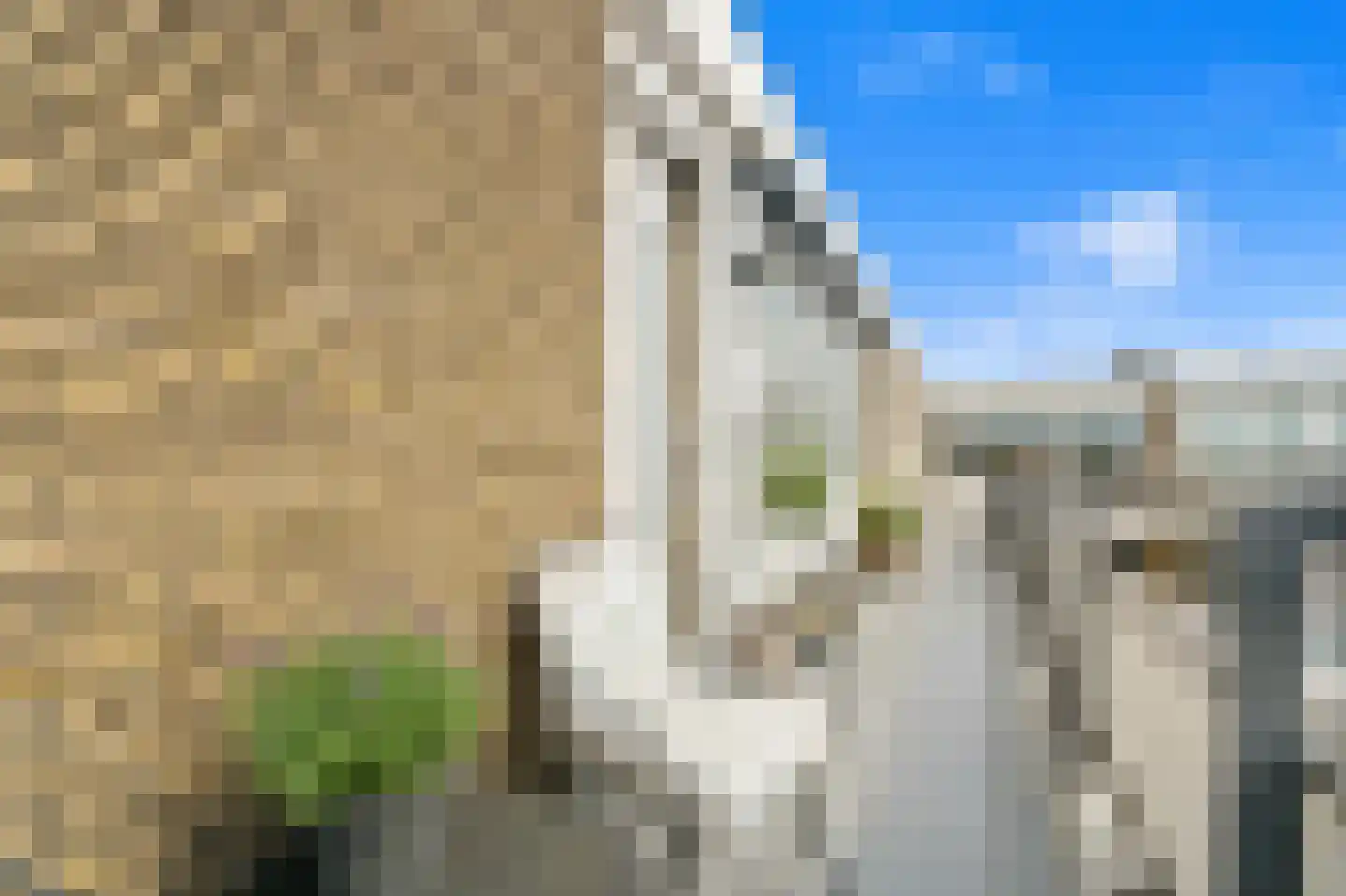 Julianastraat 56 h Rijswijk thumbnail 30