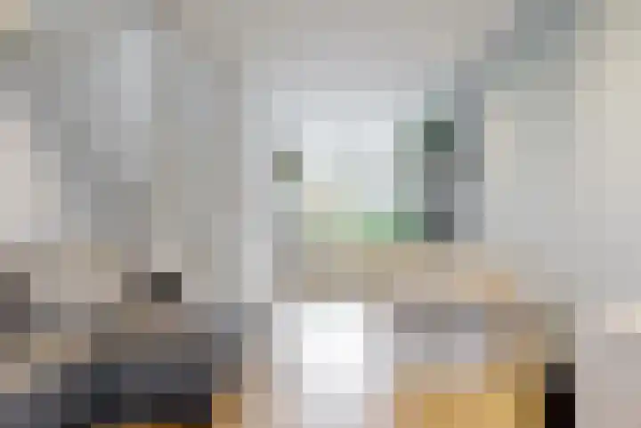 Julianastraat 56 Leiden thumbnail 10