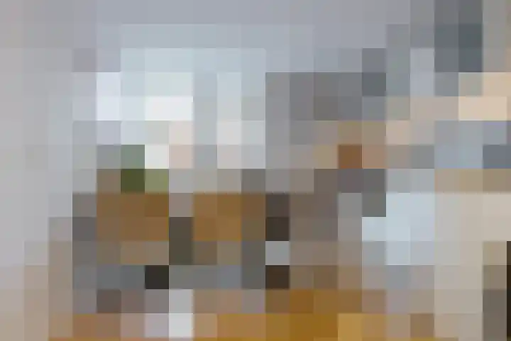 Julianastraat 56 Leiden thumbnail 11