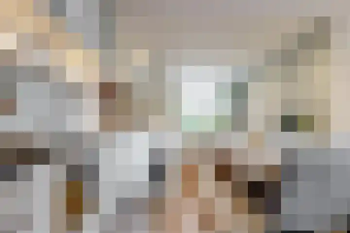 Julianastraat 56 Leiden thumbnail 12