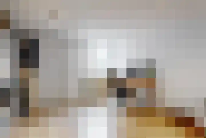 Julianastraat 56 Leiden thumbnail 17